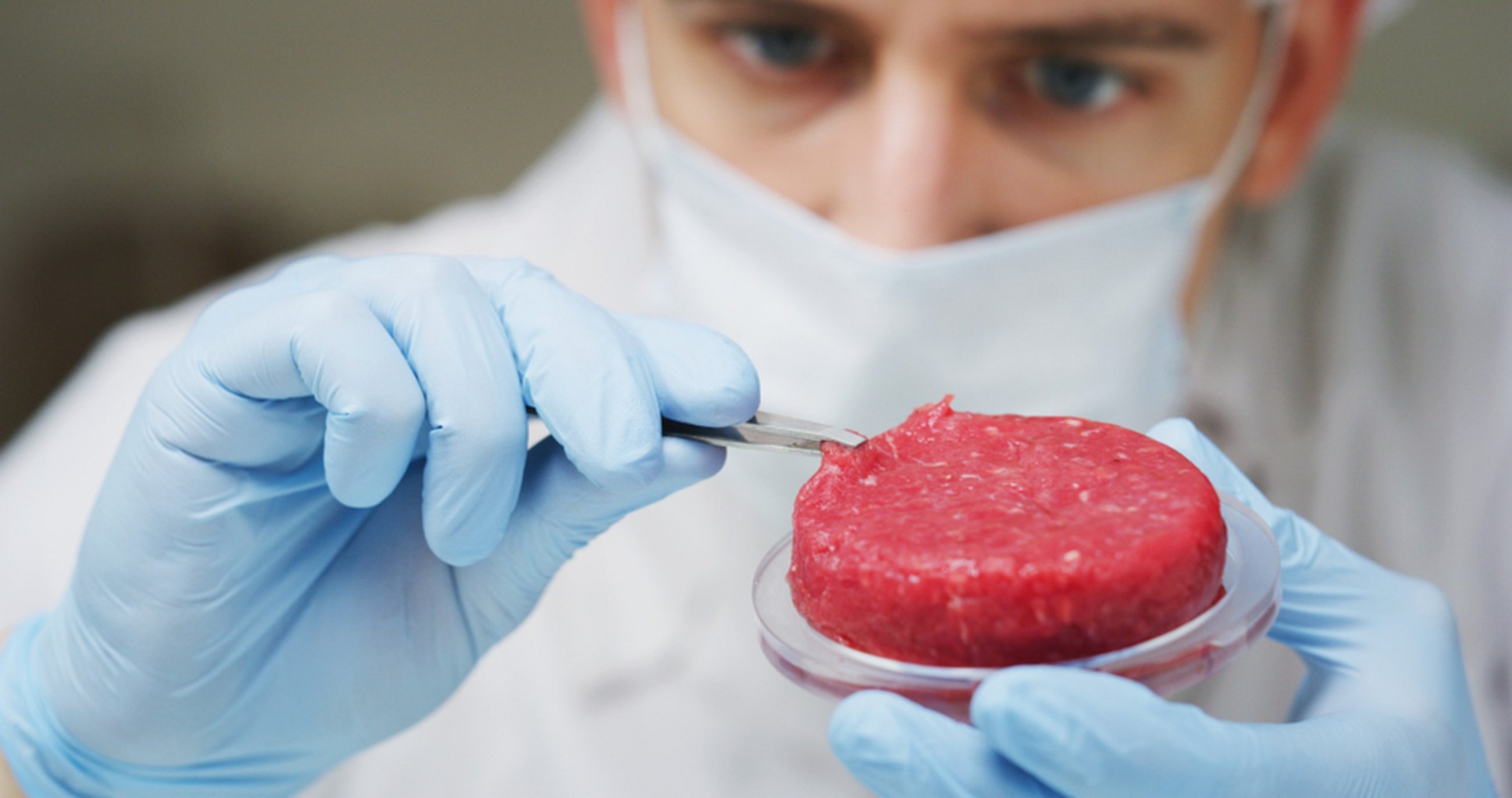 Cultured Meat in the EU Market: Caution, not preconceived barriers (cepAdhoc)