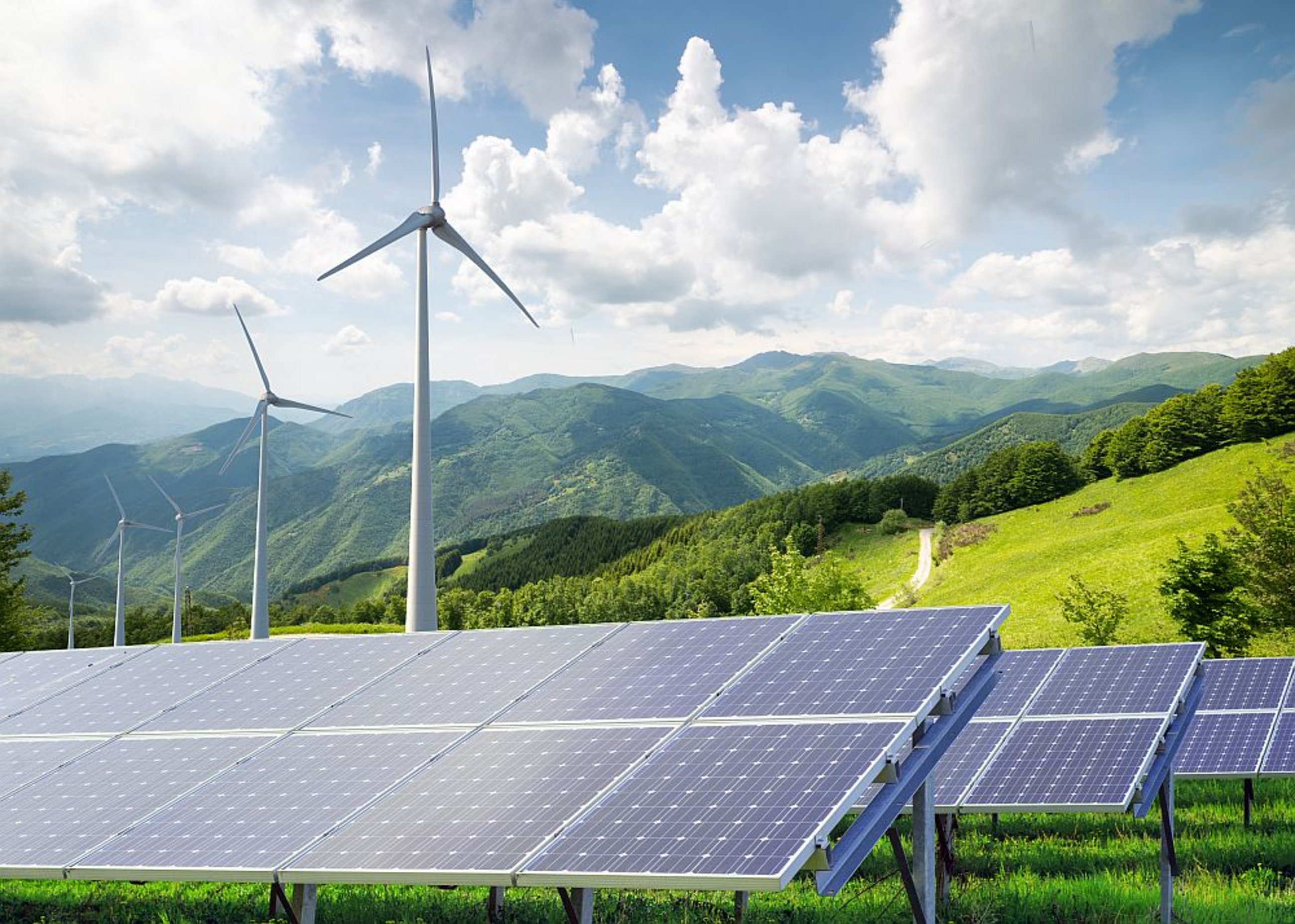 Fit for 55: Renewable Energies (cepPolicyBrief)