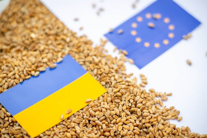 Ukrainische Agrarimporte in die EU (cepAdhoc)
