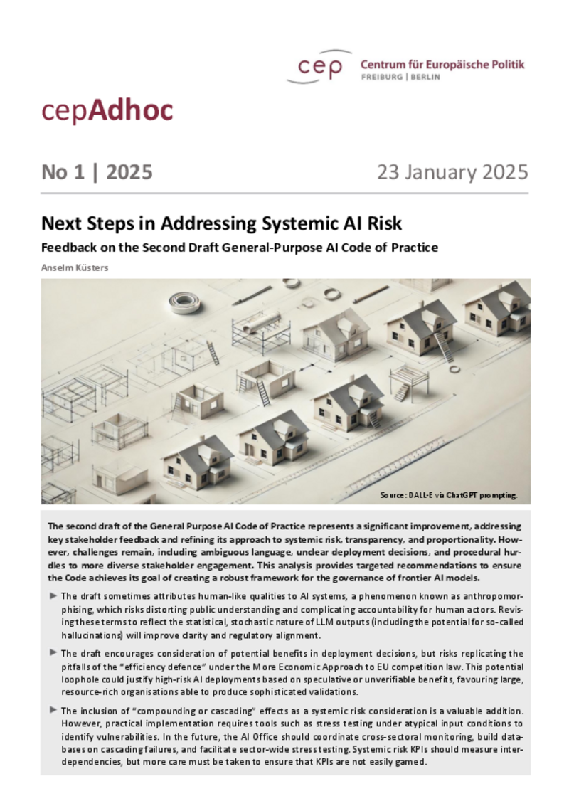 Next Steps in Addressing Systemic AI Risk