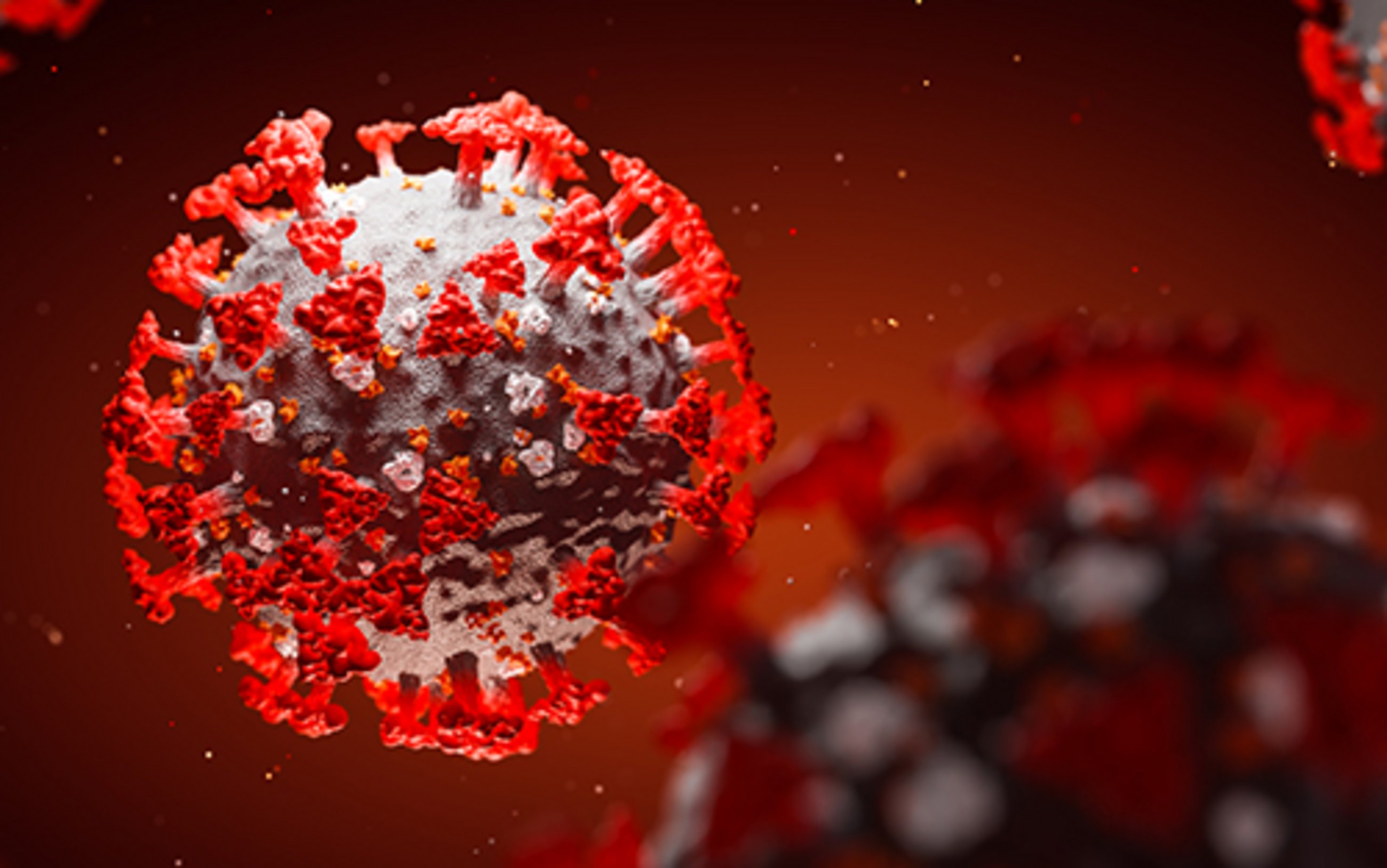 Quelles sont les populations les plus touchées par le coronavirus ? – Analyse des statistiques