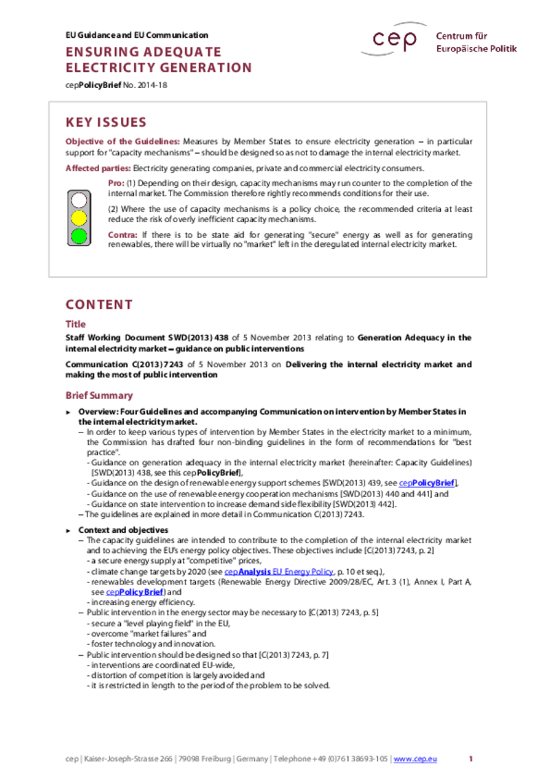 Ensuring adequate electricity generation C(2013) 7243