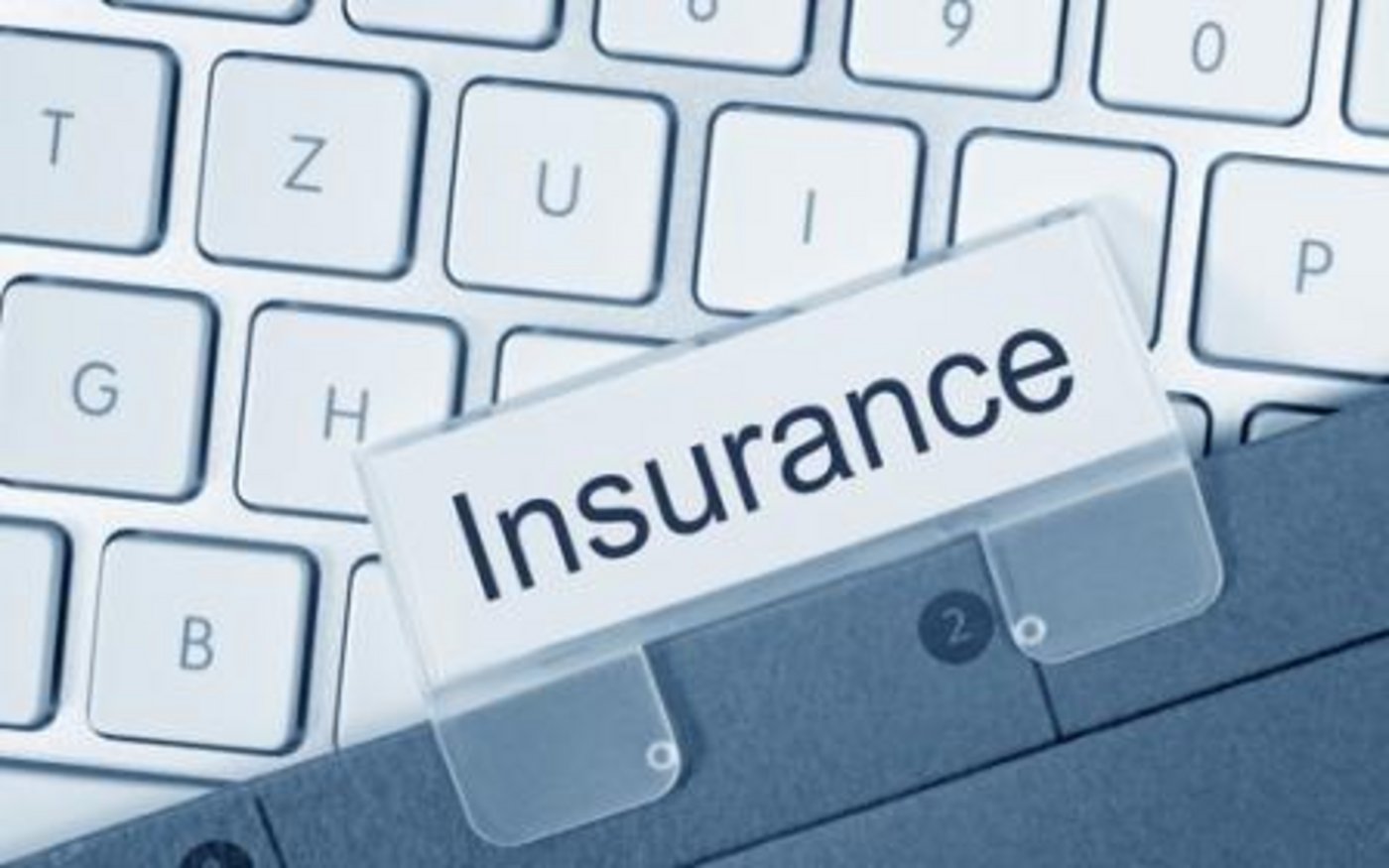 Sicherungssysteme für Versicherungen (Weißbuch)