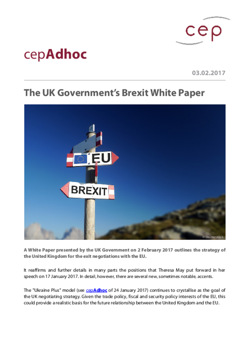 The UK Government’s Brexit White Paper