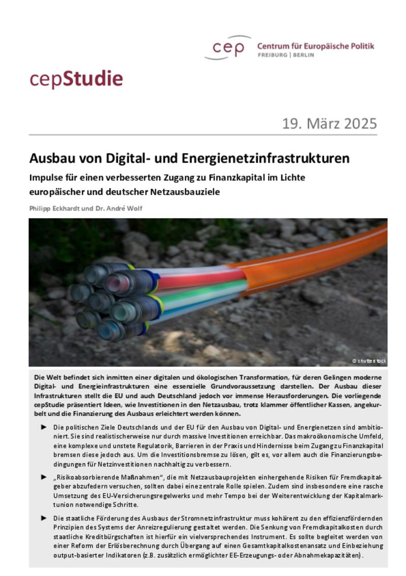 Expansion of Digital and Energy Network Infrastructures