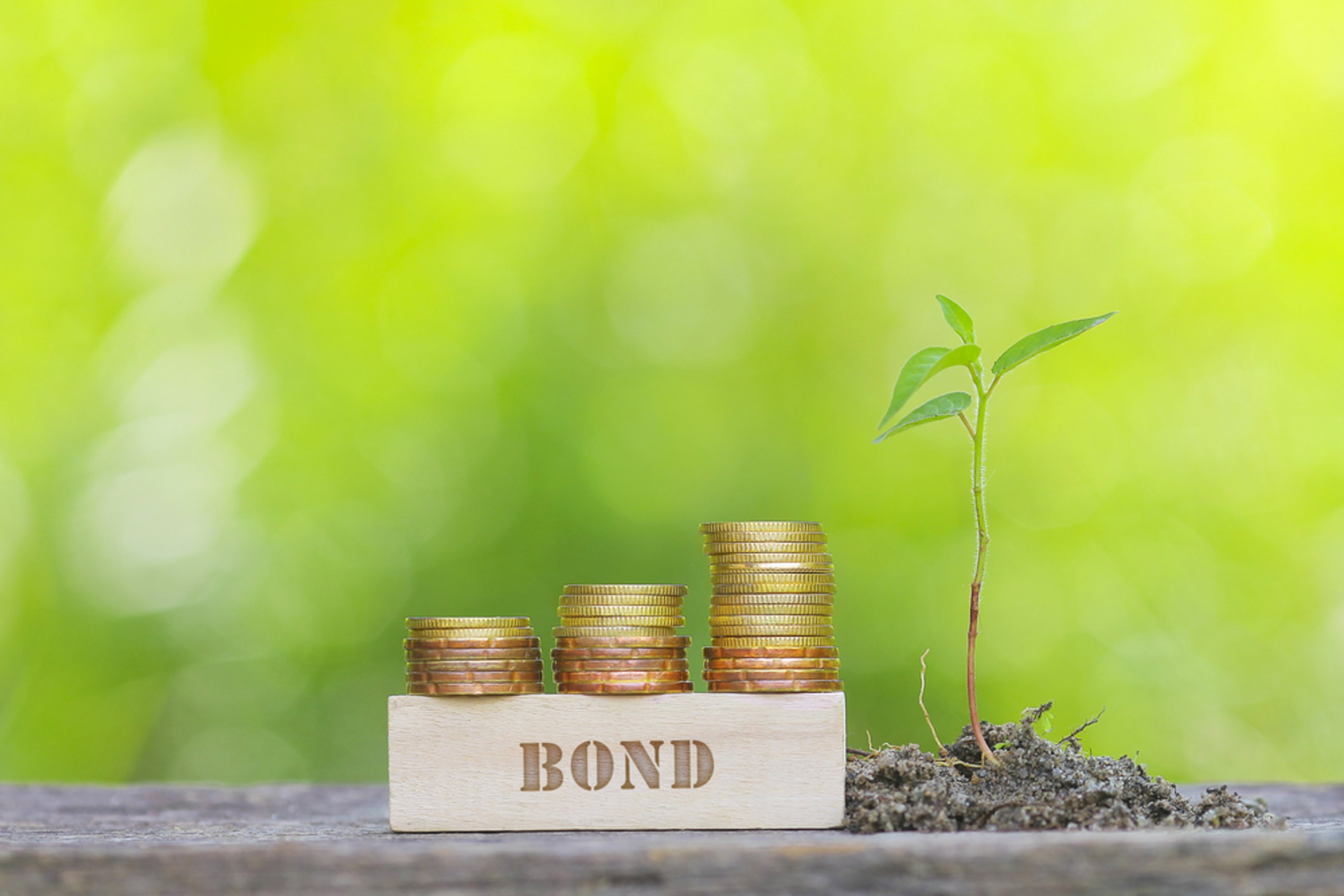 shutterstock EU Green Bond Standard (cepPolicyBrief COM2021 391)