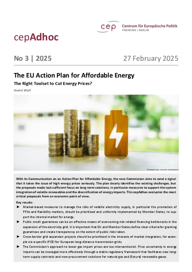 The EU Action Plan for Affordable Energy