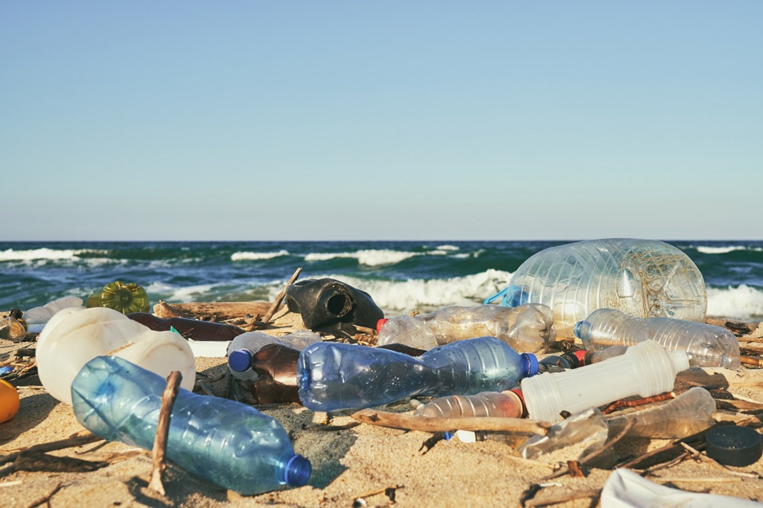 © Shutterstock Marine Pollution from Plastic Products (Directive)