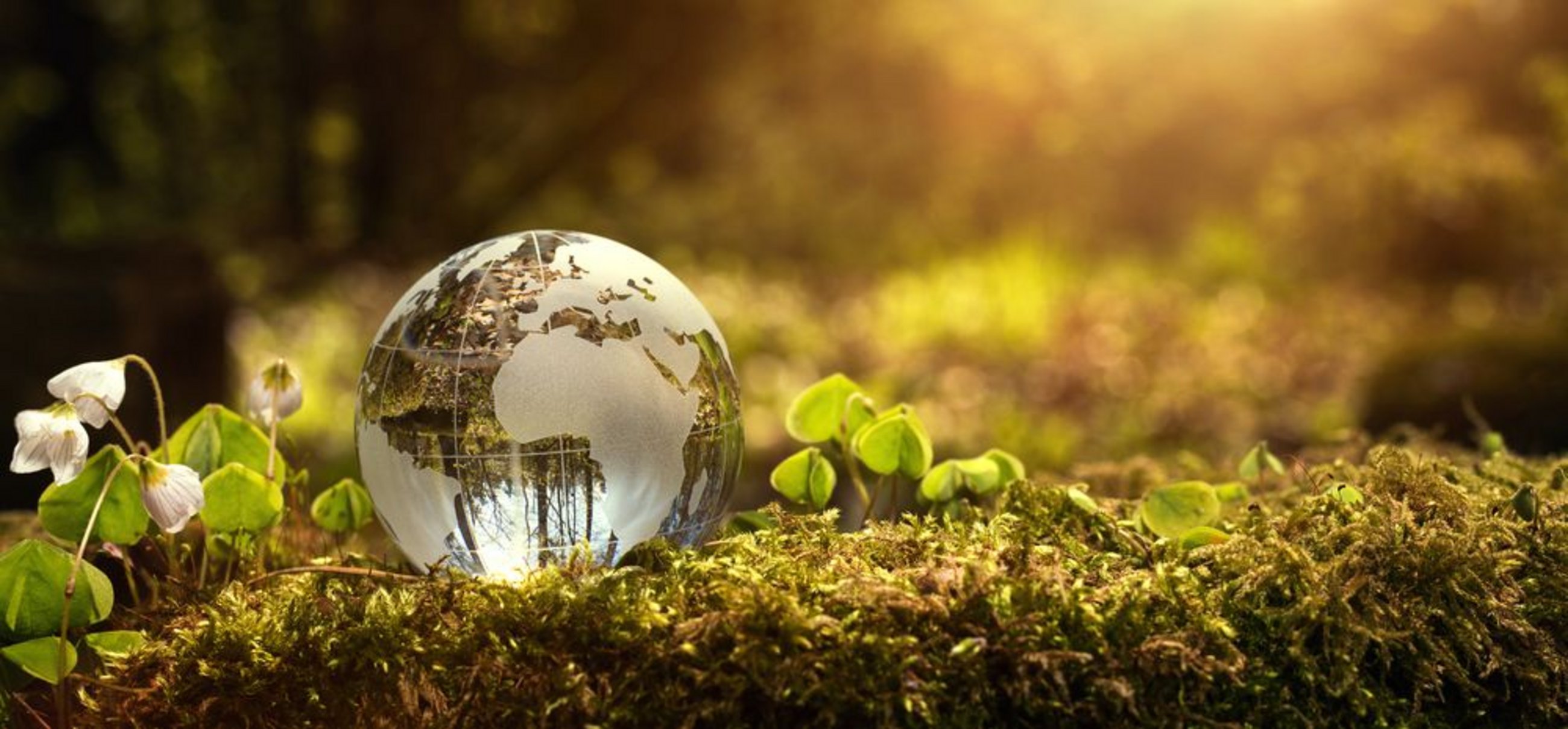 shutterstock_rangizzz Europe's Position on Raw Materials of the Future (cepInput)