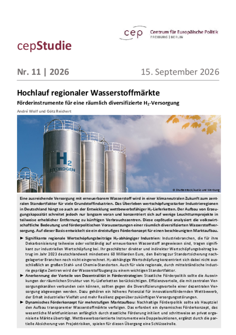 Hochlauf regionaler Wasserstoffmärkte
