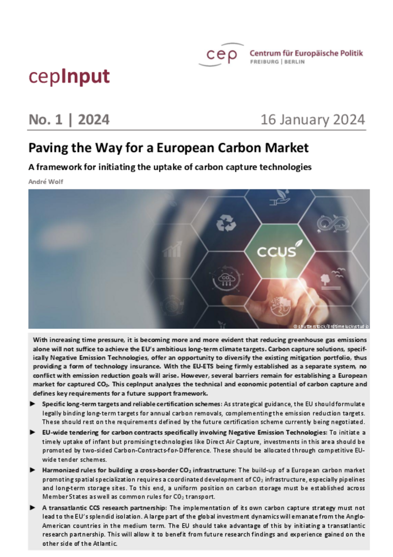 Preparare la strada per un mercato europeo del carbonio (cepInput)