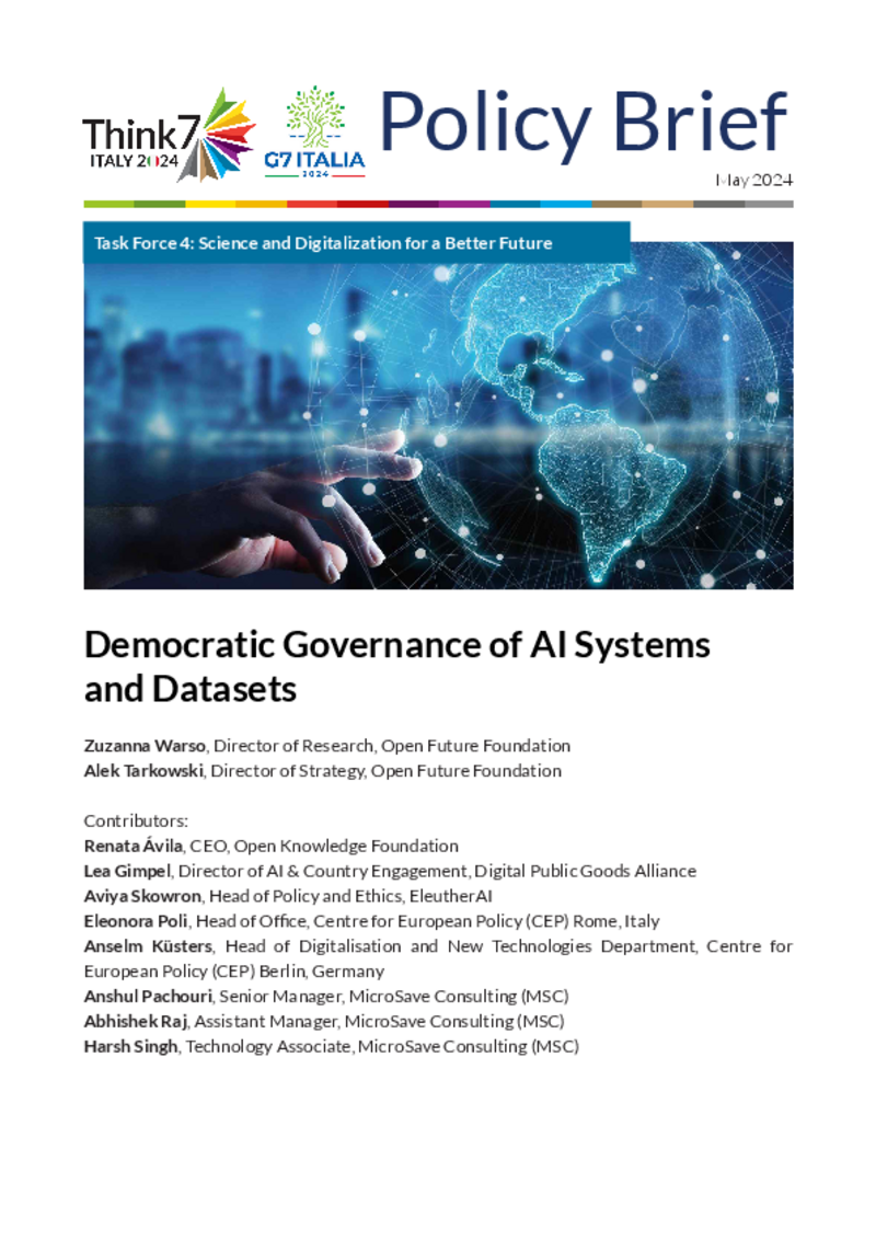 Democratic Governance of AI Systems and Datasets