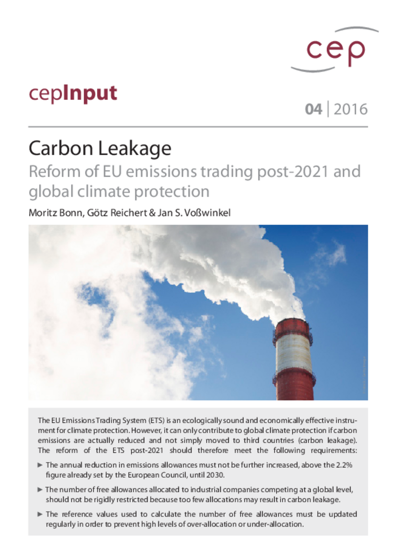 cepInput Carbon Leakage
