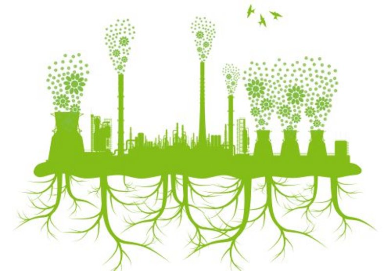 Sustainable Finance - Effekte auf die Realwirtschaft (cepStudie)