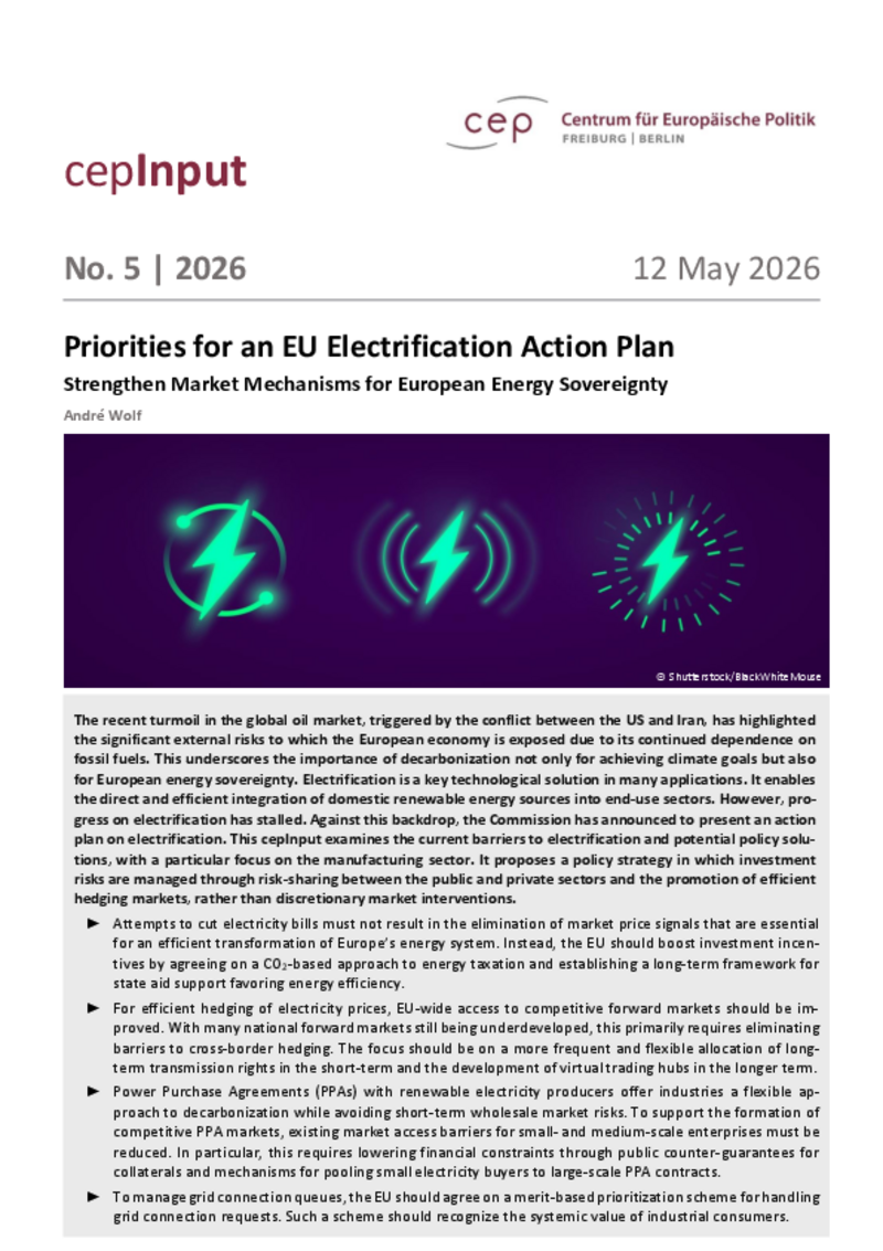 Priorities for an EU Electrification Action Plan