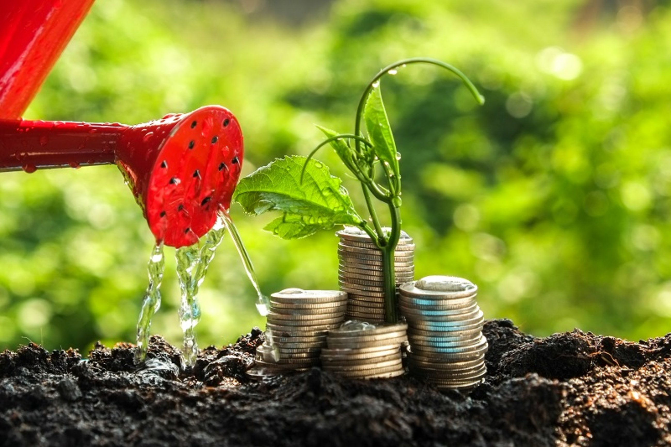 © Shutterstock Grüne Taxonomie
