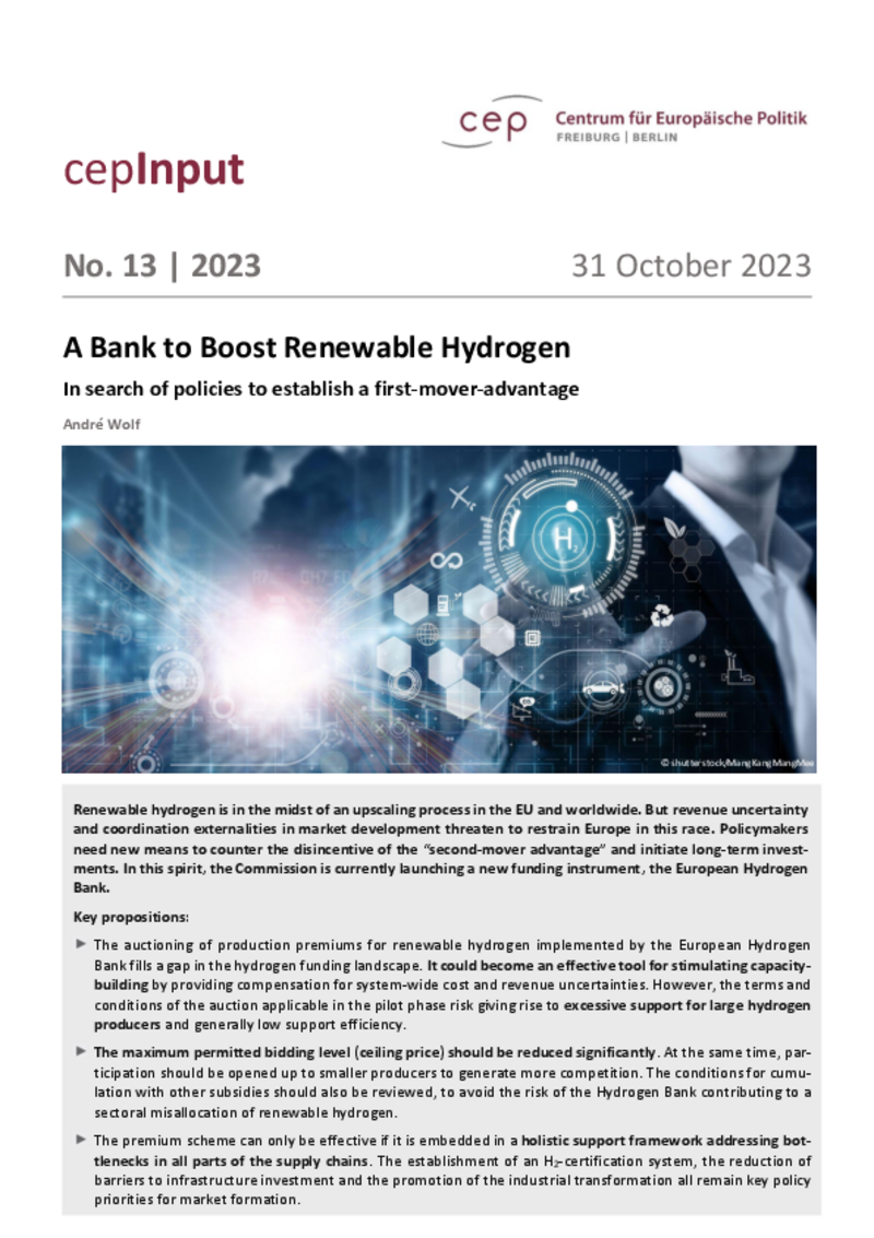 Banque européenne de l'hydrogène : le cep met en garde contre les subventions excessives