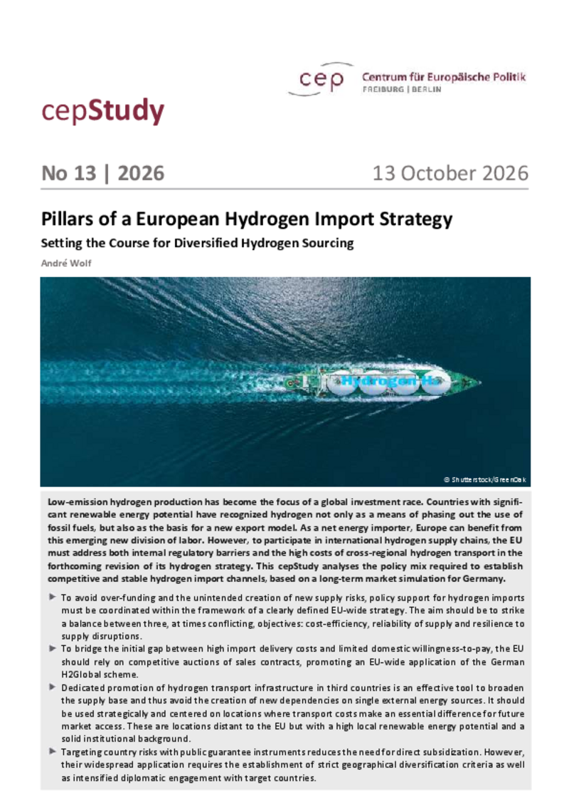 Pillars of a European Hydrogen Import Strategy
