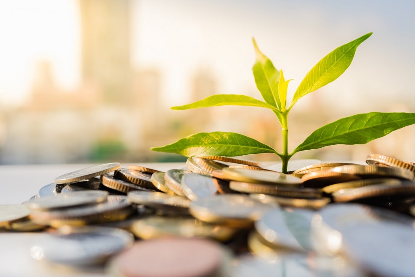Nachhaltigkeitsbezogene Offenlegungen im Finanzsektor