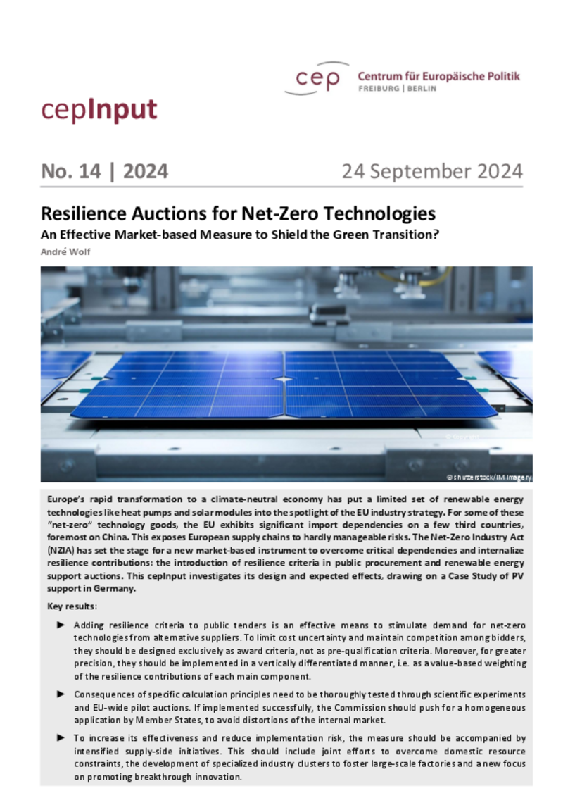 Resilience Auctions for Net-Zero Technologies