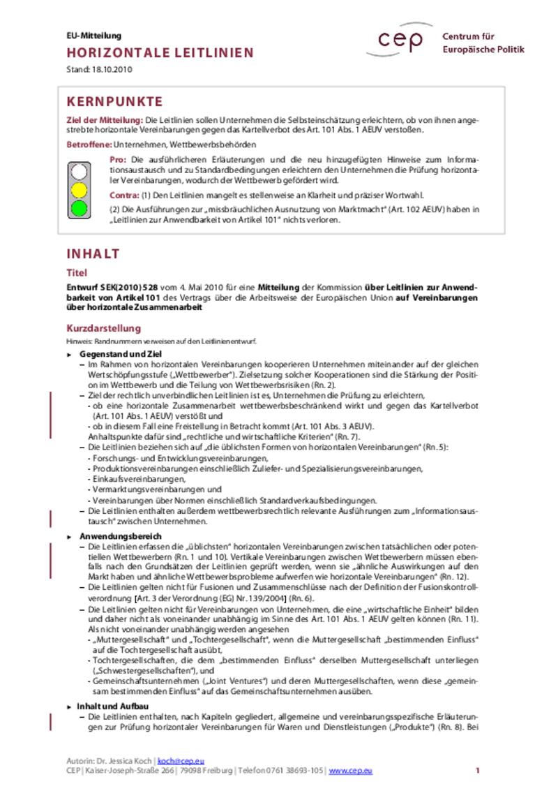 Horizontale Leitlinien SEK(2010) 528
