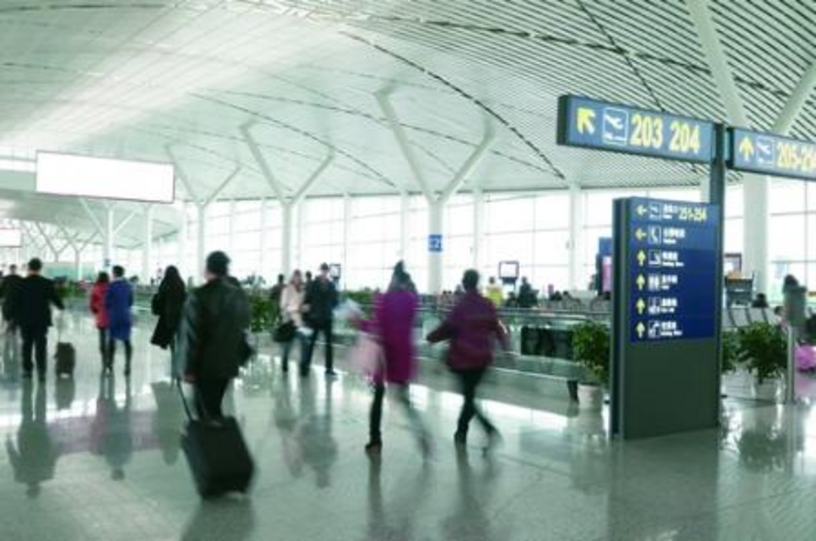 Passenger Name Record Data (Directive)
