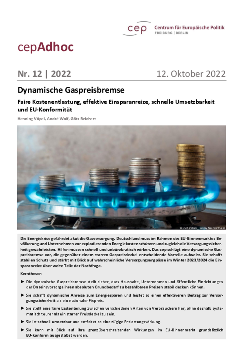 Dynamische Gaspreisbremse (cepAdhoc)