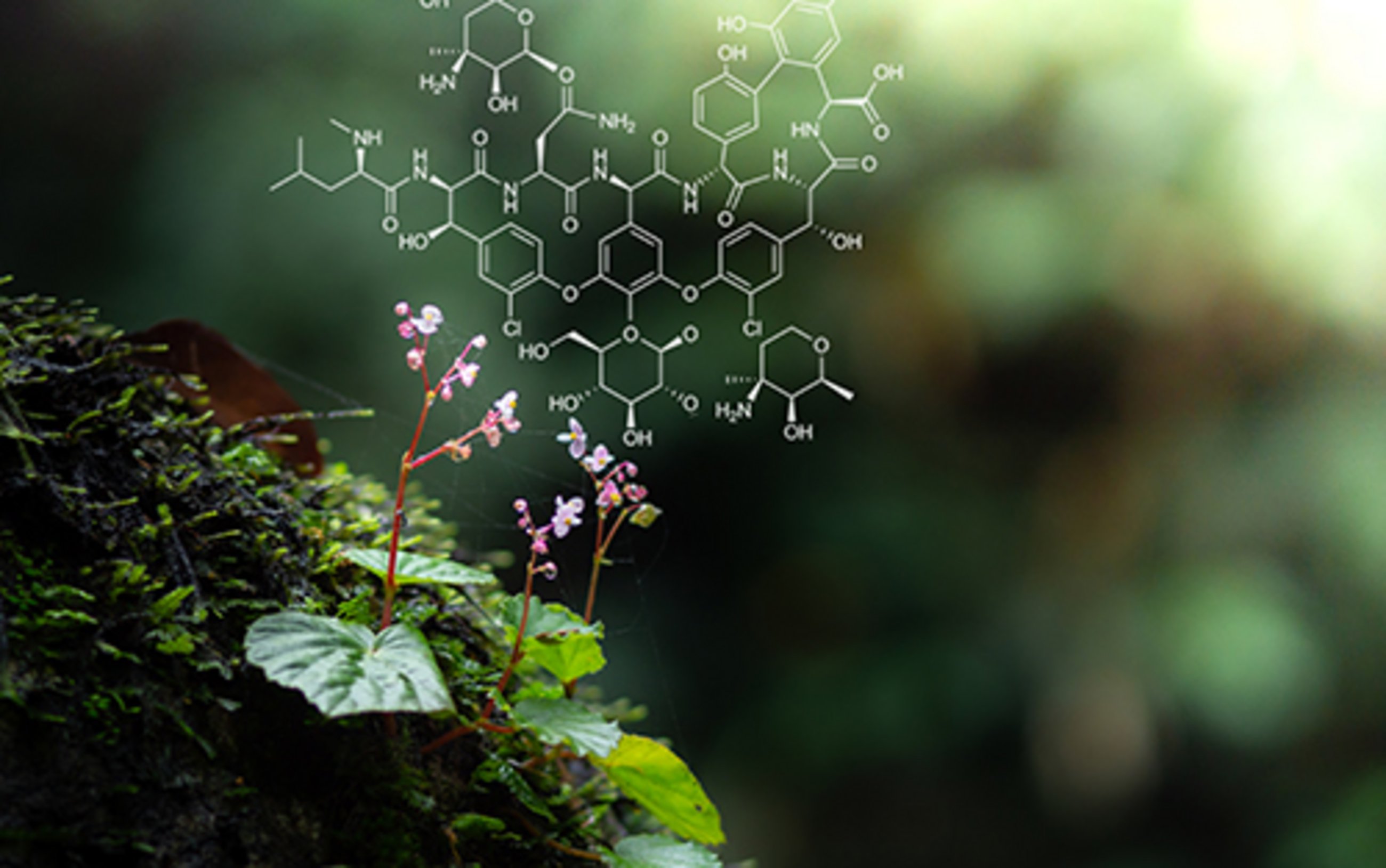 shutterstock Pharmaceuticals in the Environment (cepPolicyBrief)