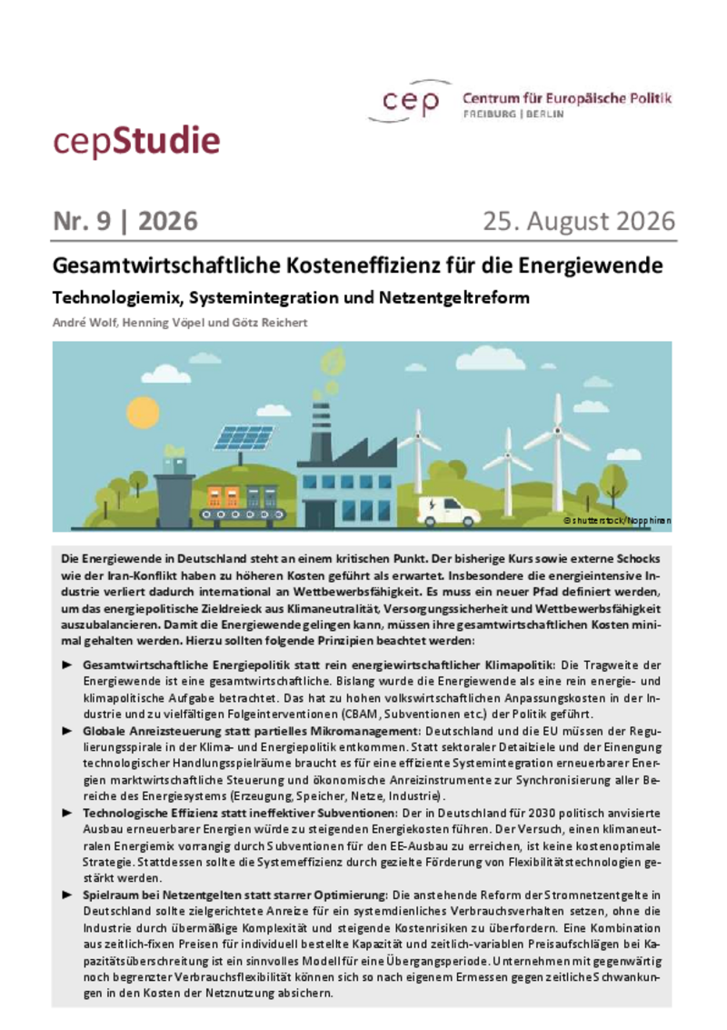 Gesamtwirtschaftliche Kosteneffizienz für die Energiewende